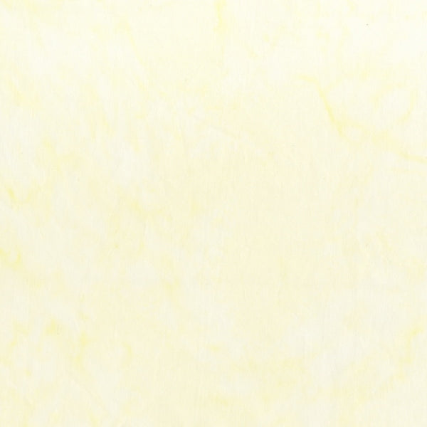 100Q-1414-1-0155Y000005rztIQAQ.jpg