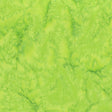 100Q-1425-1-0155Y000005rzthQAA.jpg