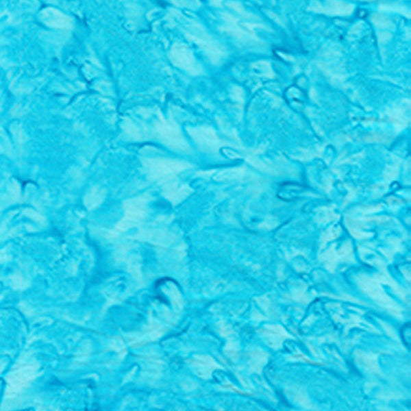 100Q-1586-1-0155Y000005s05sQAA.jpg