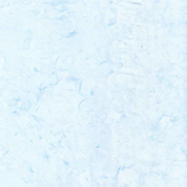 100Q-1631-1-0155Y000004enE4QAI.jpg