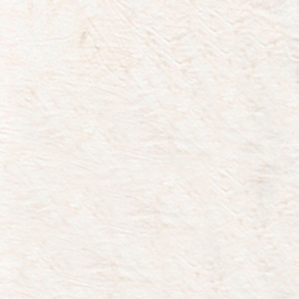 100Q-1645-1-0155Y000004enDGQAY.jpg