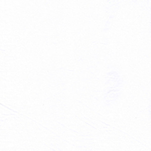 100Q-1666-1-0155Y000004enC8QAI.jpg