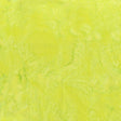 100Q-2009-1-0155Y000004emyuQAA.jpg