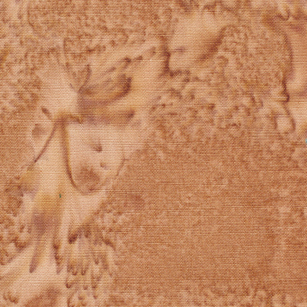 100Q-2051-1-0155Y000004emusQAA.jpg