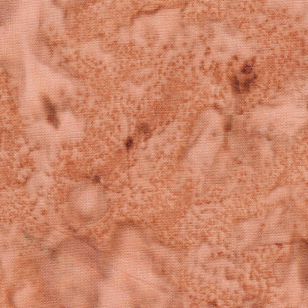 100Q-2054-1-0155Y000004emuYQAQ.jpg