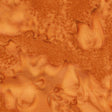 100Q-2058-1-0155Y000004emuEQAQ.jpg