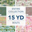 15YDGRND-X-1-015Ud000001TJ3WIAW.jpg