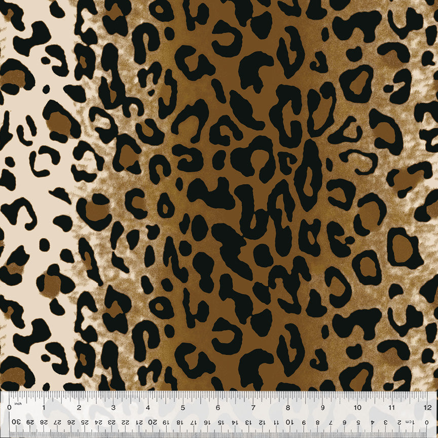 19305-X-1-0155Y000005jBoEQAU.jpg