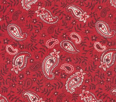 fabric_image