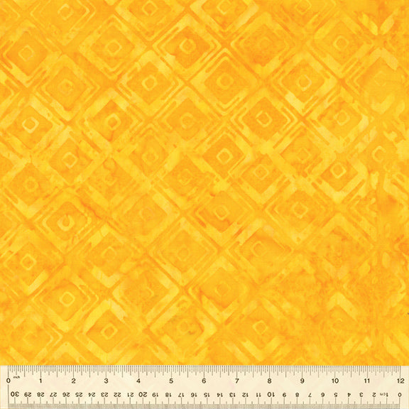 2430Q-X-1-0155Y000005ryM8QAI.jpg