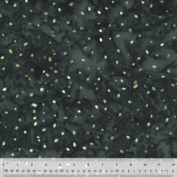 2483Q-X-1-0155Y000005rz2xQAA.jpg