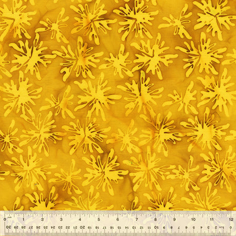 2490Q-X-1-0155Y000005rz3bQAA.jpg