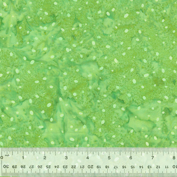2524Q-X-1-015Ud00000081wcIAA.jpg