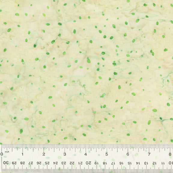 2528Q-X-1-015Ud00000082CkIAI.jpg