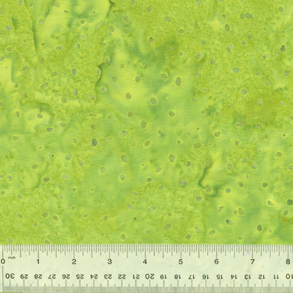 2530Q-X-1-015Ud00000082JCIAY.jpg