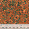 2795Q-X-1-015Ud000001OFLWIA4.jpg