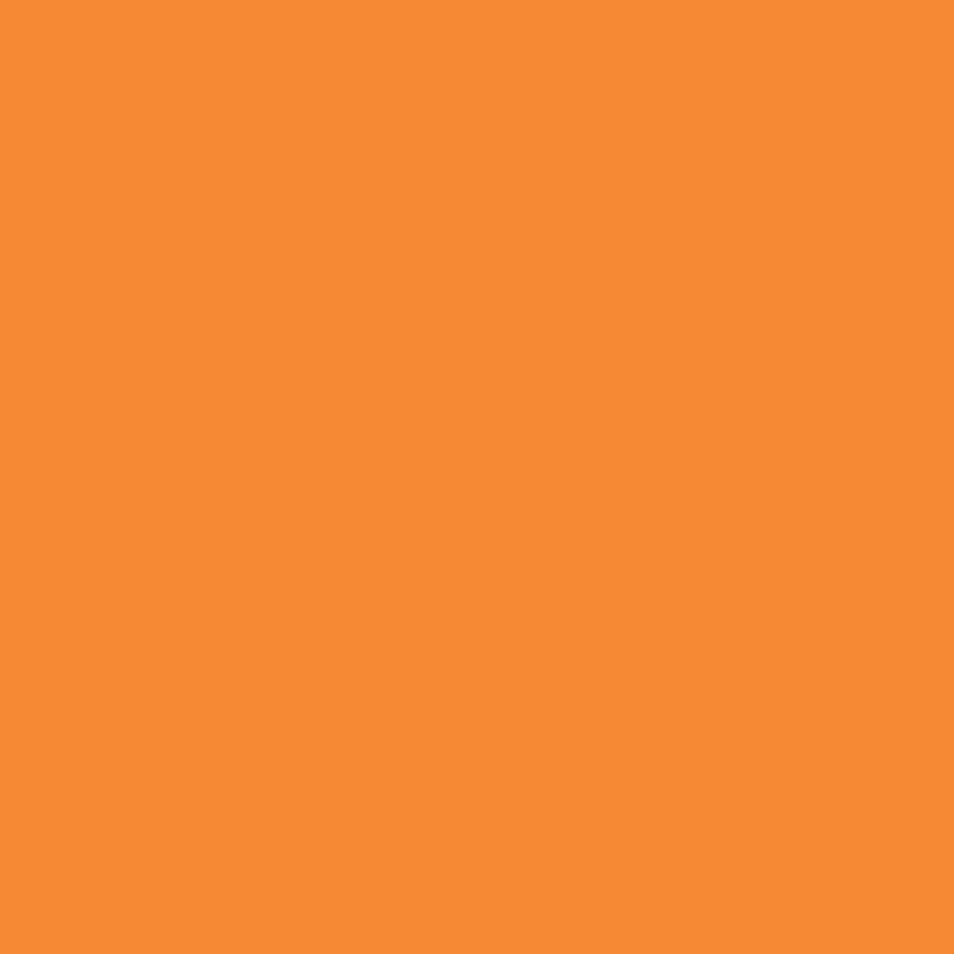 3000-ORANGE-1-0155Y000005jBqZQAU.jpg