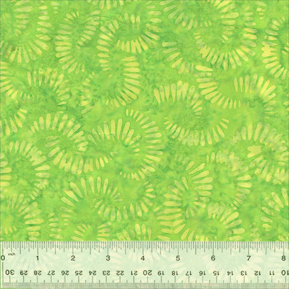 440Q-4-1-0155Y0000067mo2QAA.jpg