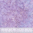 443Q-6-1-0155Y0000067mq6QAA.jpg