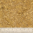443Q-8-1-0155Y0000067mqGQAQ.jpg