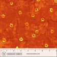 455Q-3-1-015Ud000005X7KpIAK.jpg