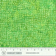 459Q-1-1-015Ud000005XBLFIA4.jpg