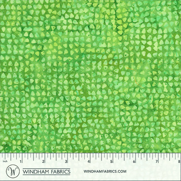 459Q-1-1-015Ud000005XBLFIA4.jpg