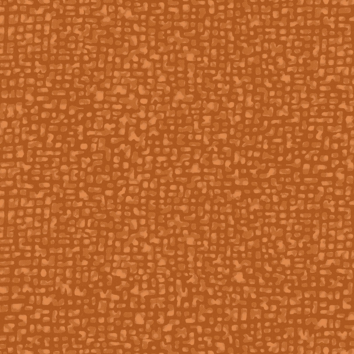 50087-19-1-0155Y000004enSaQAI.jpg