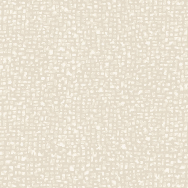 50087-7-1-0155Y000004enOYQAY.jpg
