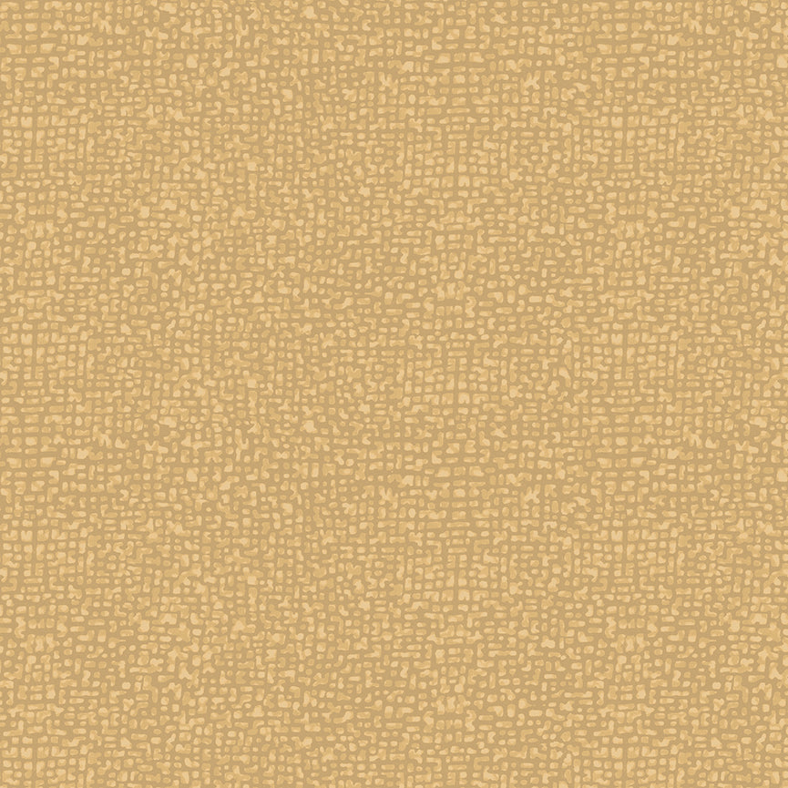 50087-95-1-0155Y000004enMDQAY.jpg