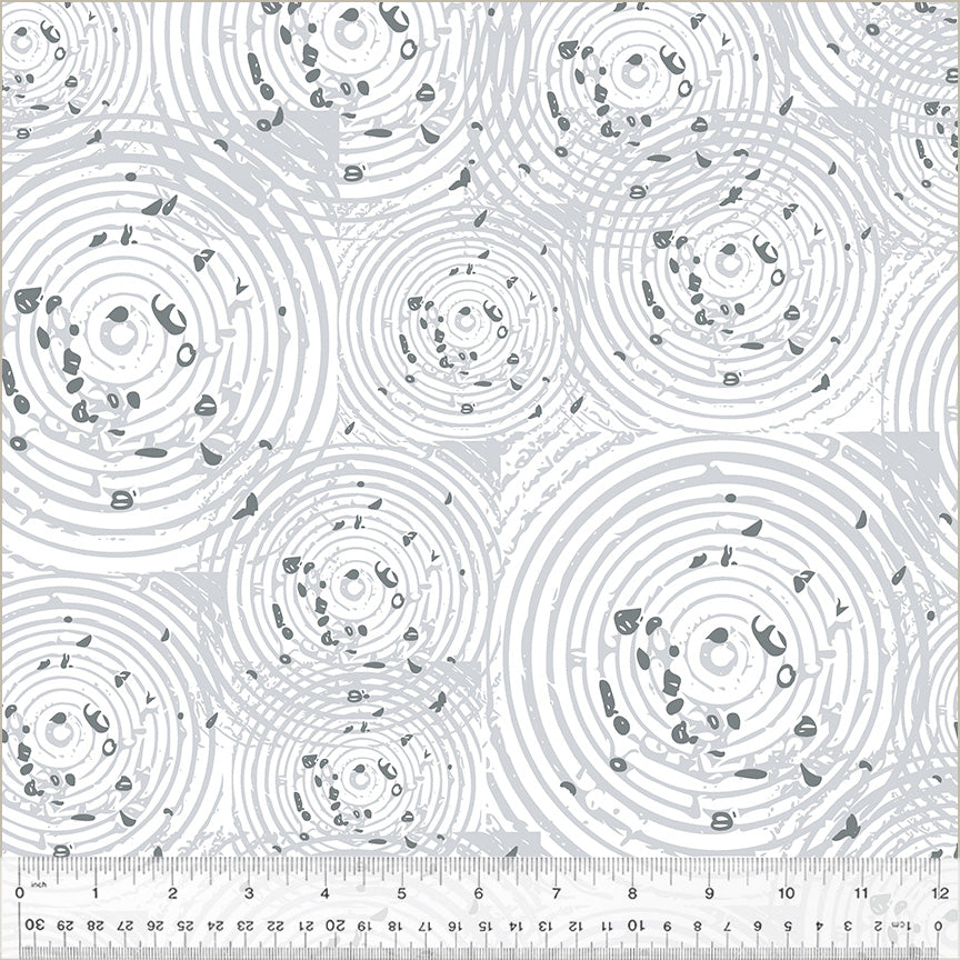 50815A-1-1-0155Y000005zYEfQAM.jpg