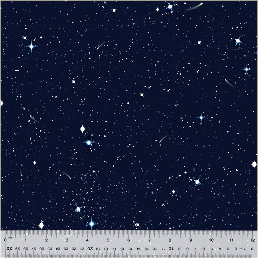 52113D-X-1-0155Y0000067mmTQAQ.jpg