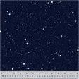 52113D-X-1-0155Y0000067mmTQAQ.jpg