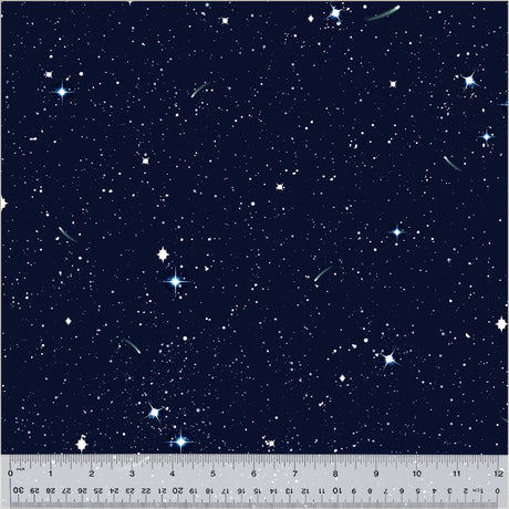 52113D-X-1-0155Y0000067mmTQAQ.jpg