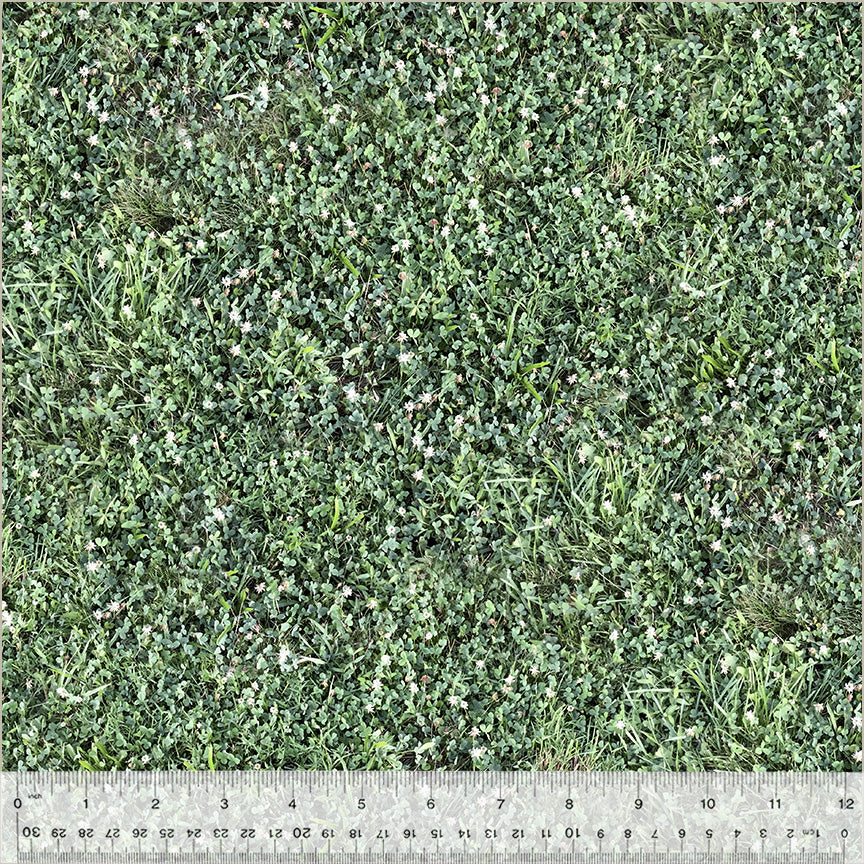 52118D-X-1-0155Y0000067mm4QAA.jpg