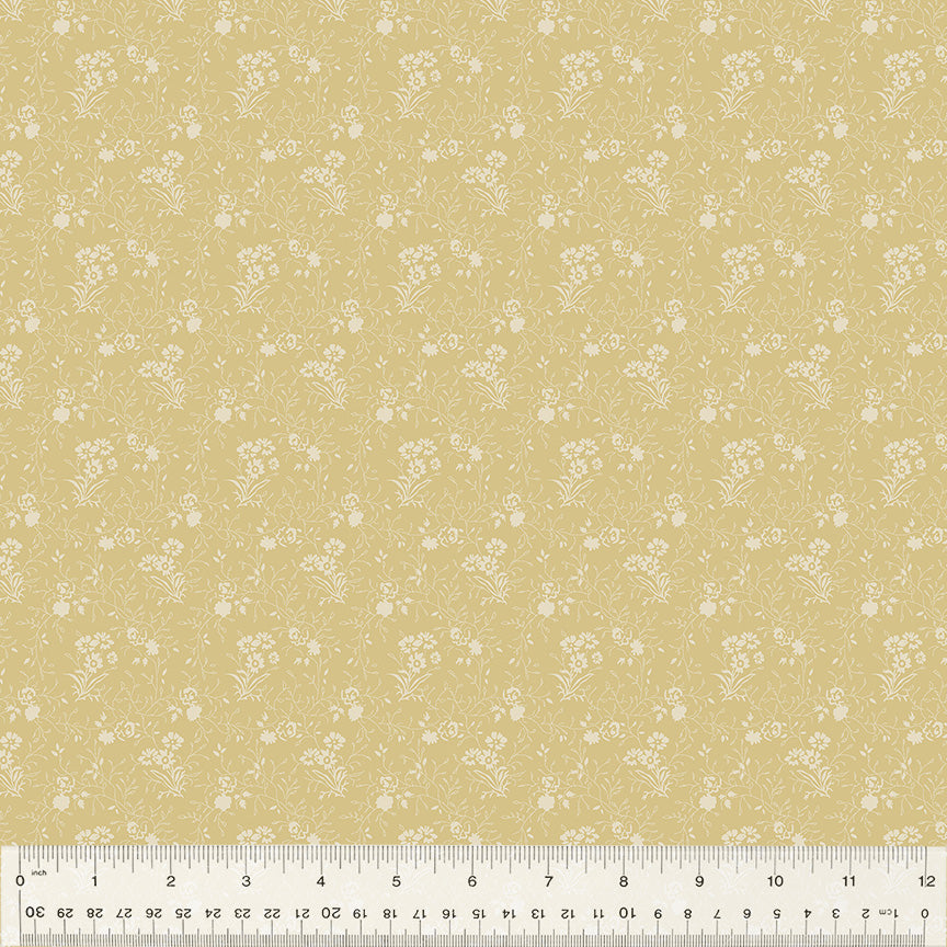 52948B-4-1-0155Y000005jBDNQA2.jpg
