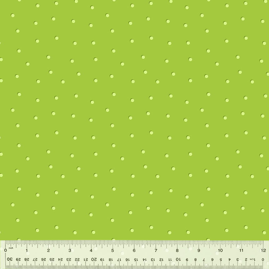 53303-18-1-0155Y000005s2CWQAY.jpg