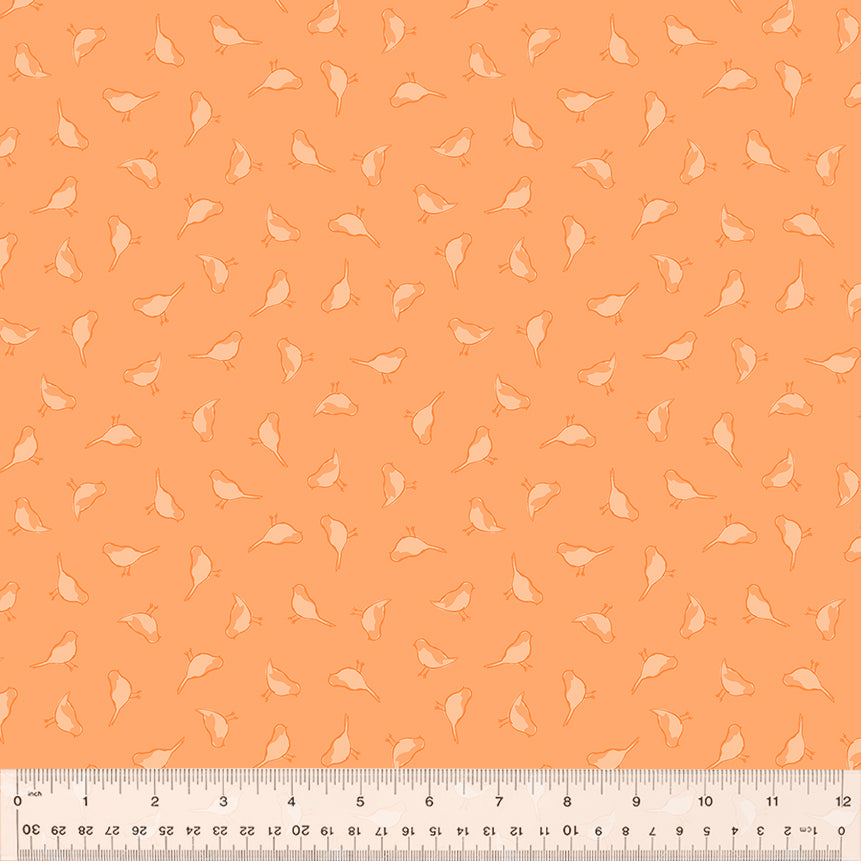 53304-21-1-0155Y000005s2CqQAI.jpg