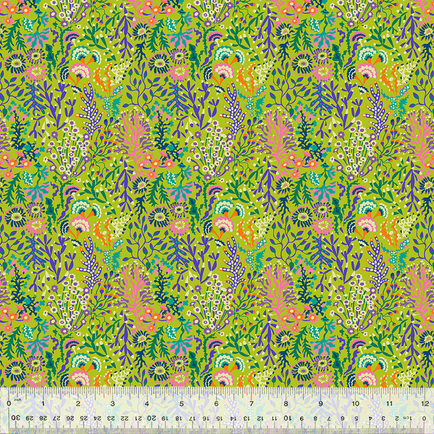 53338-5-1-0155Y000005ry9sQAA.jpg