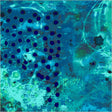 53442DW-2DES-1-015Ud000006u5nzIAA.jpg