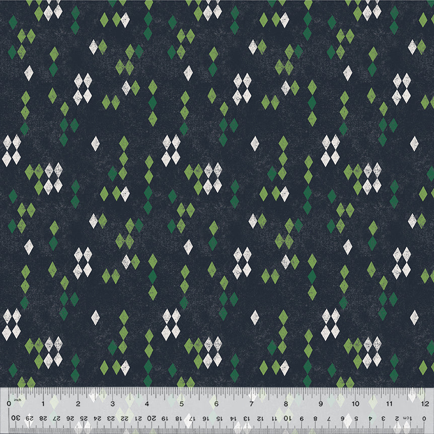 53510-16-1-0155Y000005ryinQAA.jpg