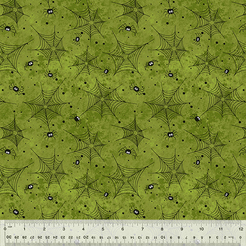 53536-7-1-0155Y000005s0HjQAI.jpg
