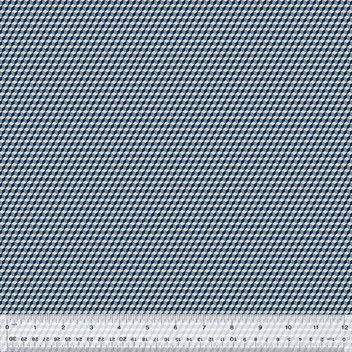 53545-2-1-0155Y000005s0JfQAI.jpg