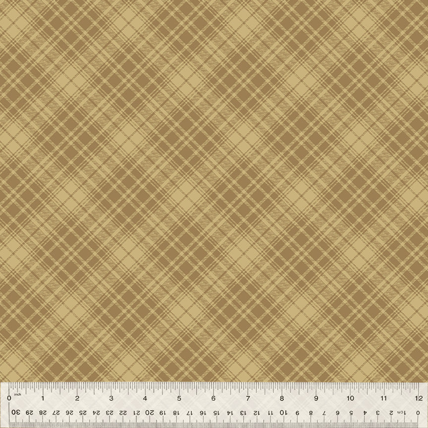 53714B-6-1-0155Y000005jBEQQA2.jpg