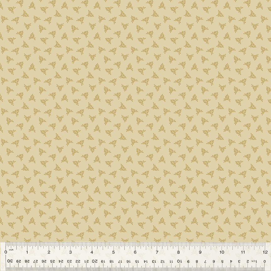 53715B-3-1-0155Y000005jBEaQAM.jpg