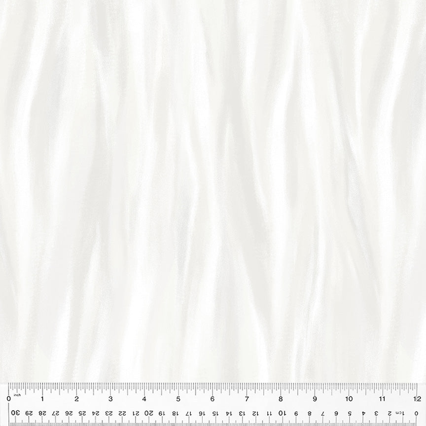 53749D-12-1-0155Y000005jDTIQA2.jpg