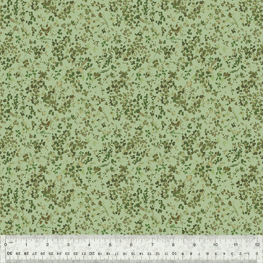 53808-13-1-0155Y000005jBwXQAU.jpg