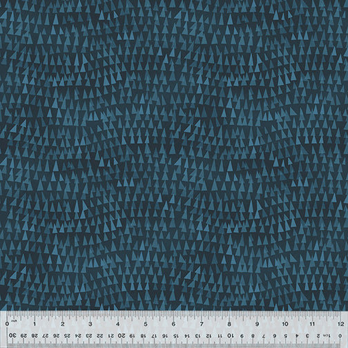53938D-5-1-0155Y0000067lyTQAQ.jpg