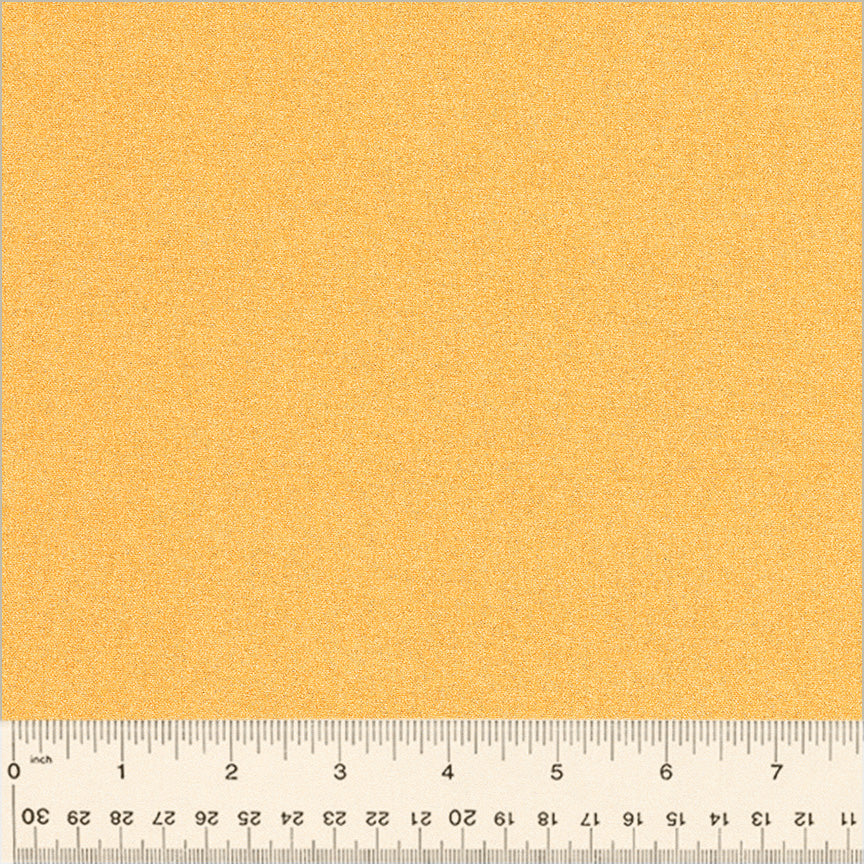 53969-11-1-0155Y000005zXrbQAE.jpg
