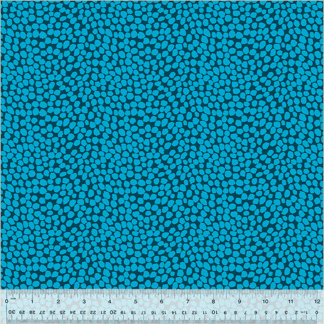 54051-9-1-0155Y000006G9jxQAC.jpg